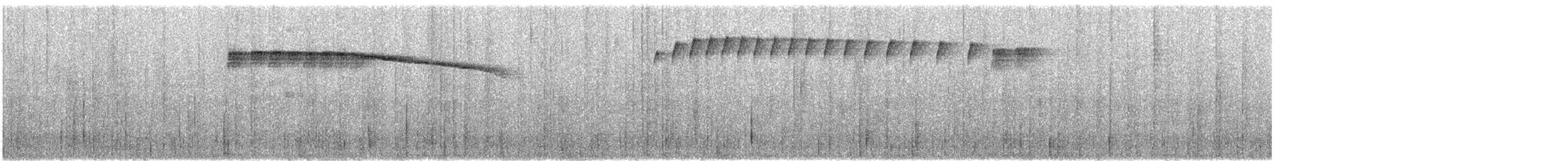 Frutero Verdinegro (grupo riefferii) - ML620210156