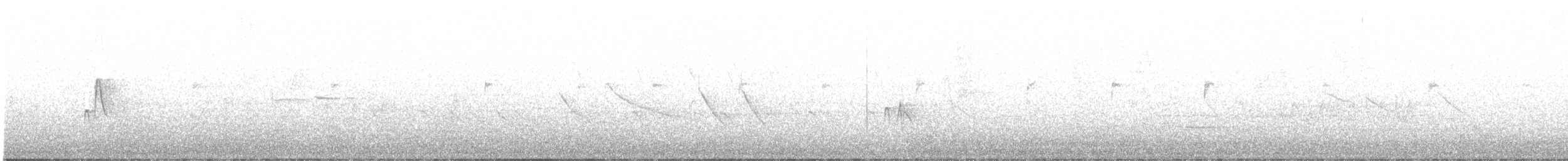 ウスチャメジロハエトリ - ML620210889
