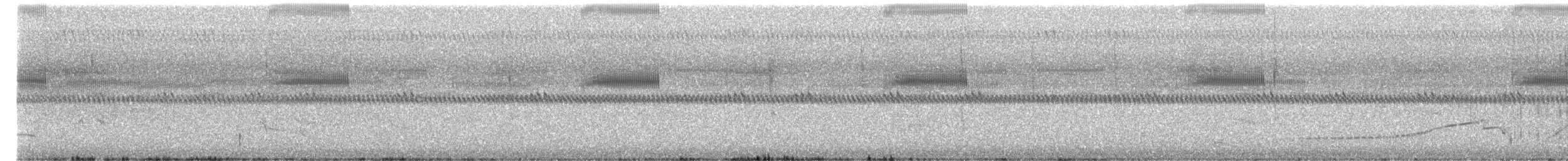 bartramie dlouhoocasá - ML620215883