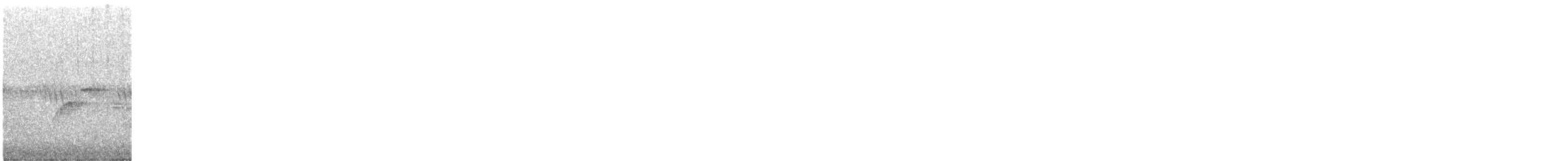 Batı Amerika Sinekkapanı (occidentalis/hellmayri) - ML620217265