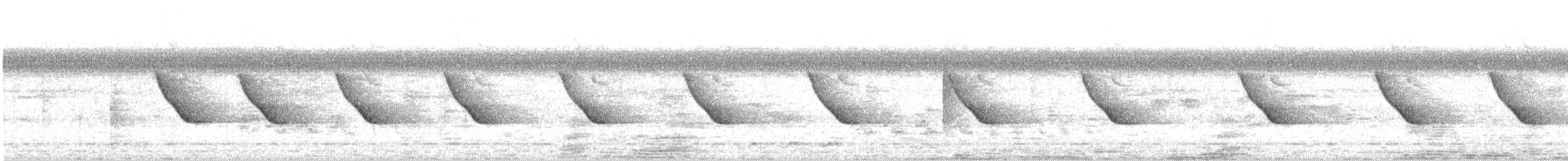 langhaleskredderfugl - ML620217626