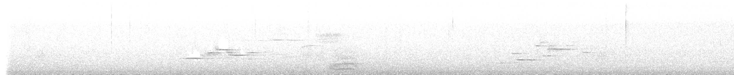 Дрізд-короткодзьоб плямистоволий - ML620217788