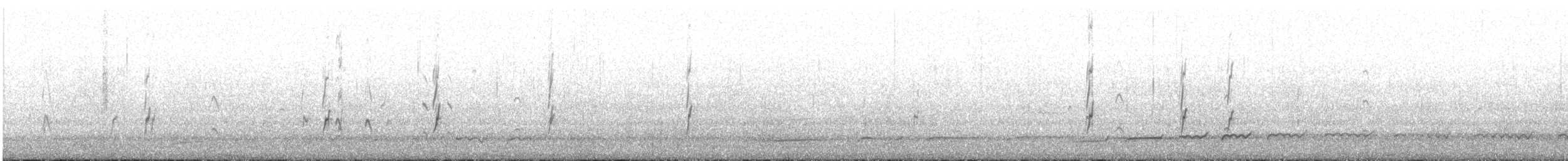 Bécasseau sanderling - ML620219455