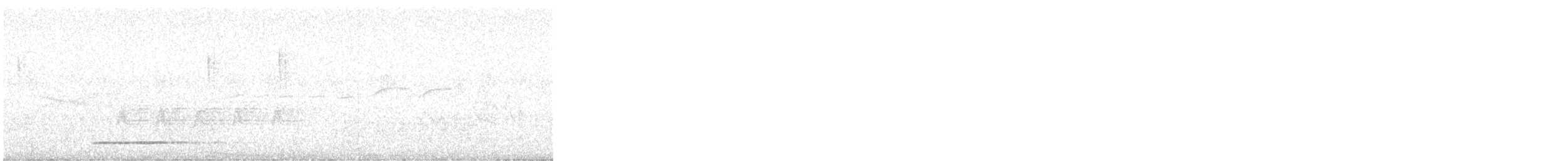 Thicket Tinamou - ML620220241