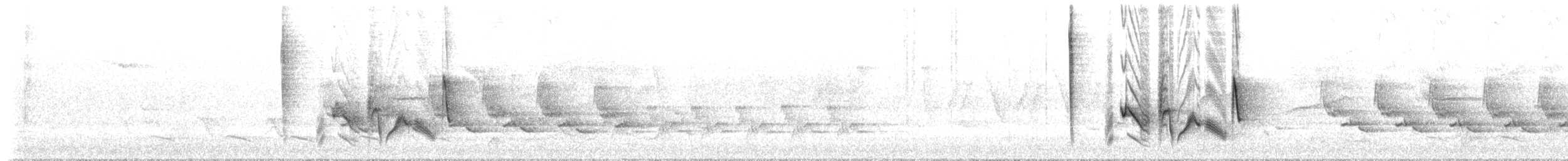 Vireo Ojiblanco - ML620221404