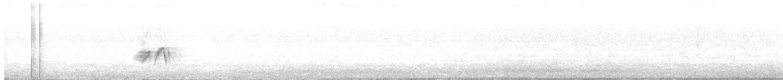 tyranovec olšový - ML620221719