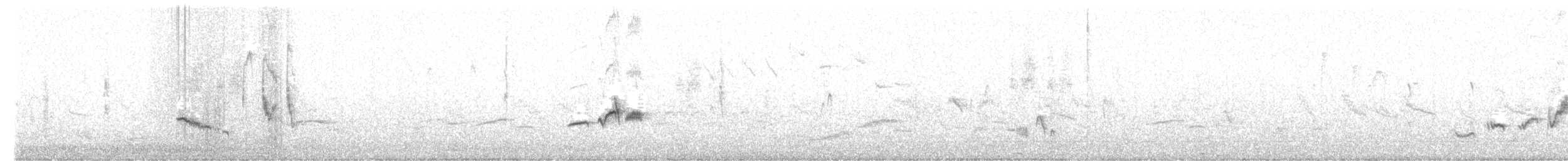 gråflanketrosteskvett - ML620224794