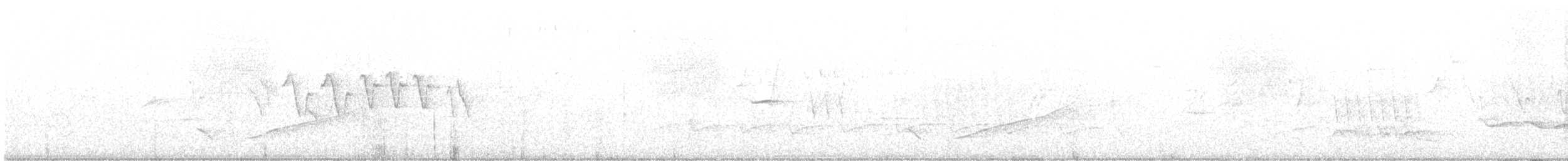 Pepitero Grisáceo Norteño - ML620225571