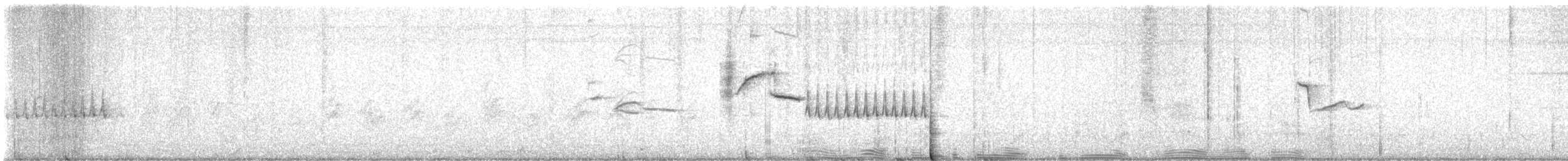 Troglodyte de Bewick - ML620226348