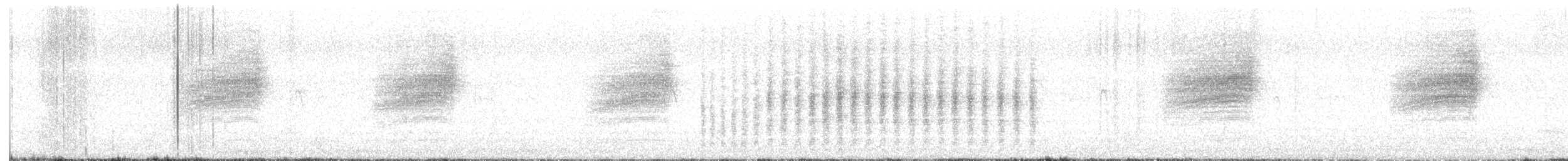 Western Warbling Vireo - ML620228764