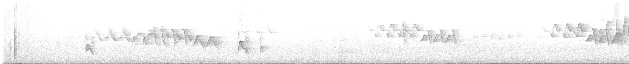 tyranovec olšový - ML620230205