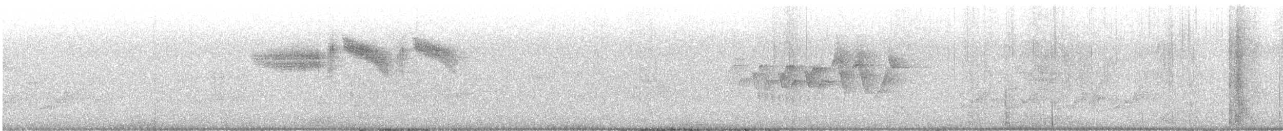 Голубокрылая червеедка - ML620230224