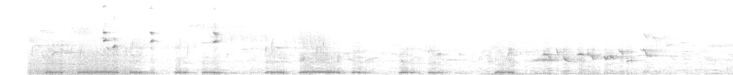 holub hřivnáč - ML620230299
