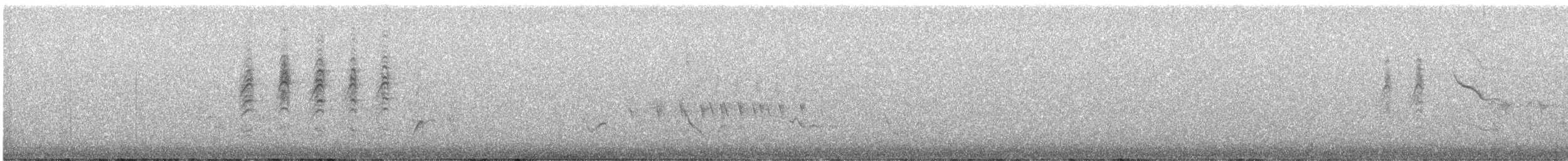 nordmyggsmett (obscura gr.) - ML620231797