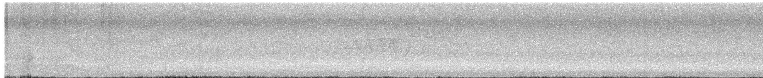 lesňáček černobílý - ML620231930