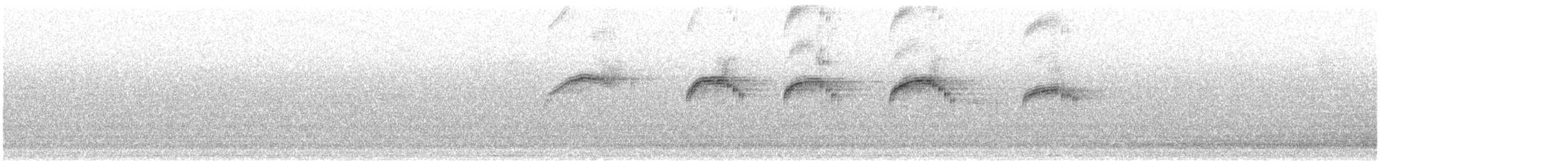 Common Swift - ML620232988