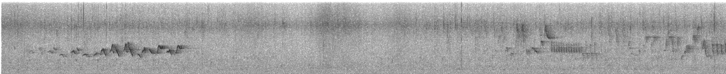 Белокрылая канделита - ML620236338