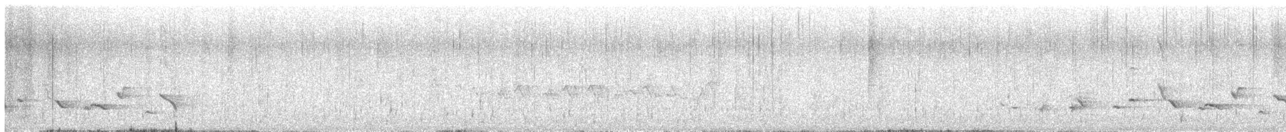 Scott's Oriole - ML620236464