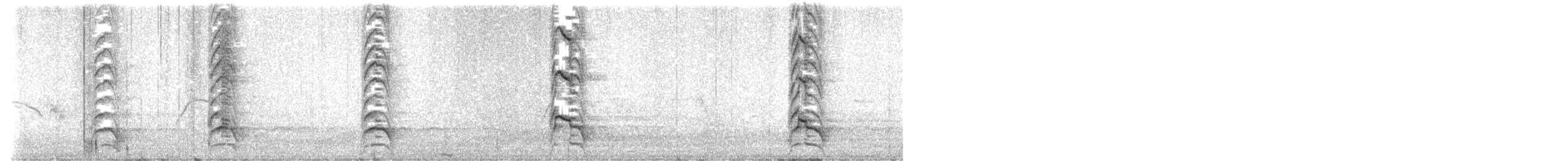カモメ（canus） - ML620236842