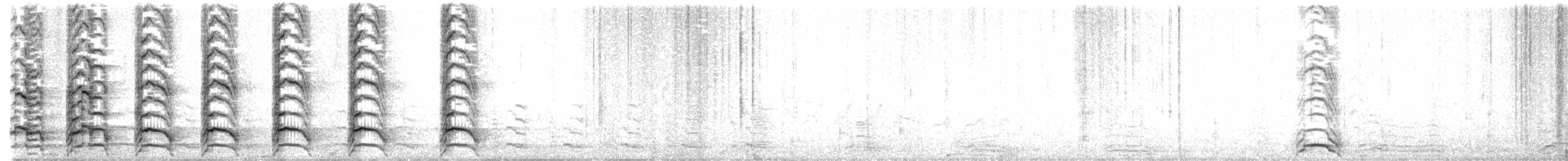 カモメ（canus） - ML620236977