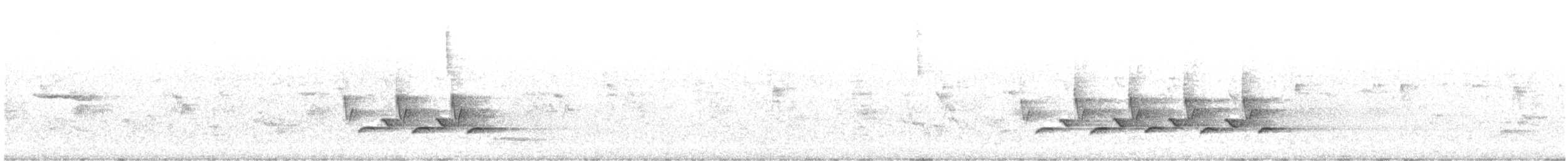 střízlík karolínský - ML620240523