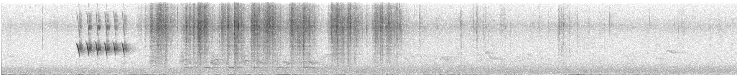 Тауї плямистий - ML620241369