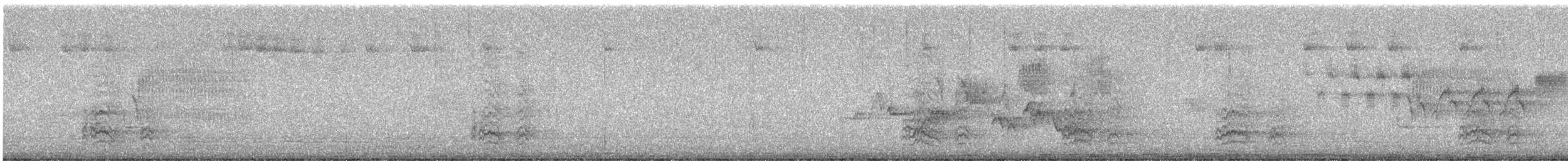 Гіла чорновола [група formicivorus] - ML620241614