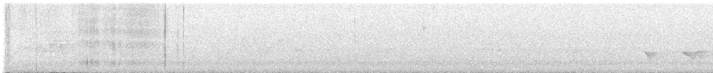 Kara Kanatlı Piranga - ML620241679