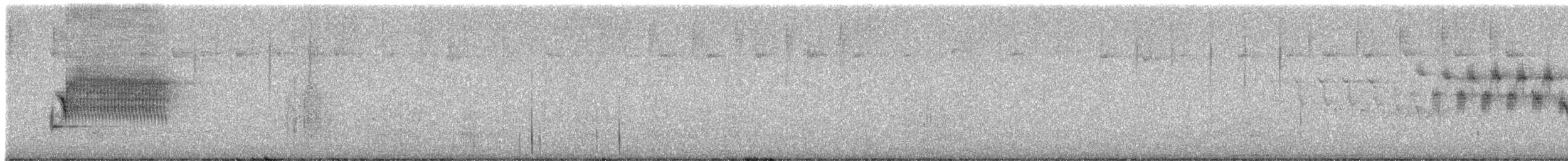 Spotted Towhee (oregonus Group) - ML620241704
