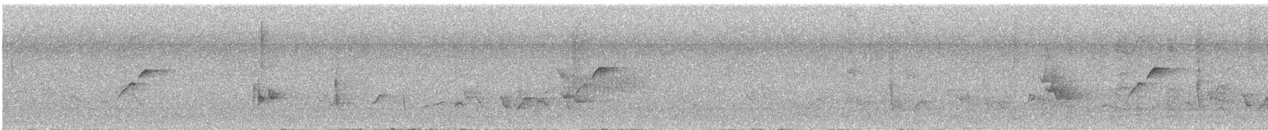 Batı Amerika Sinekkapanı (occidentalis/hellmayri) - ML620242332