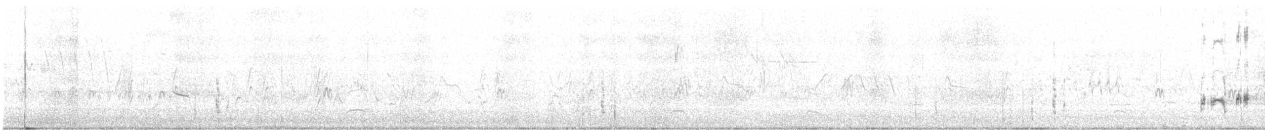 Western Grebe - ML620243137