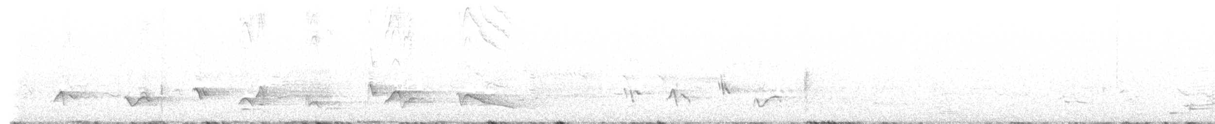 Черноголовый толстонос - ML620243406