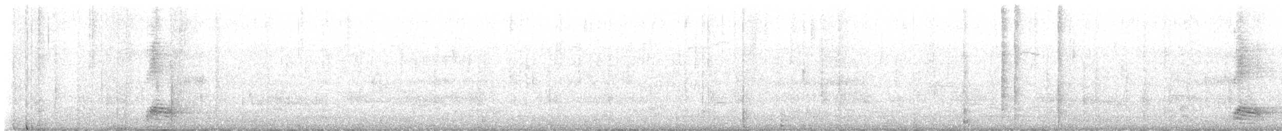 Cuervo Pescador - ML620243649