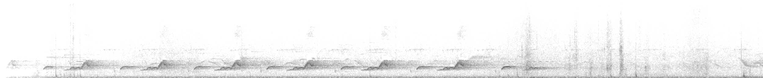 Schwarzkehl-Nachtschwalbe - ML620243799