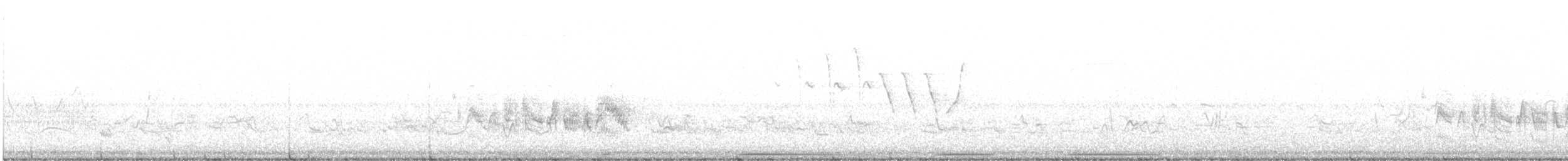 Віреон короткокрилий (підвид bellii/medius) - ML620244714