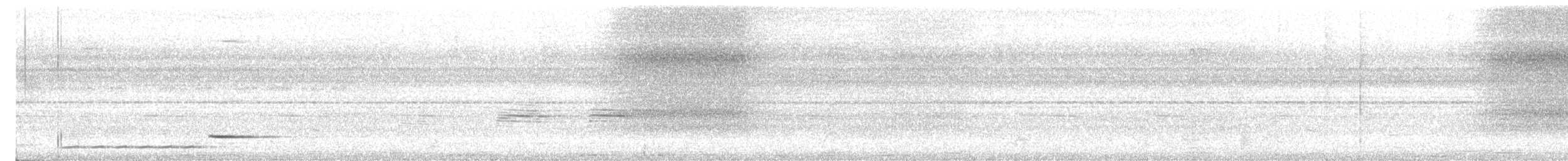 Troglodyte rufalbin - ML620245772