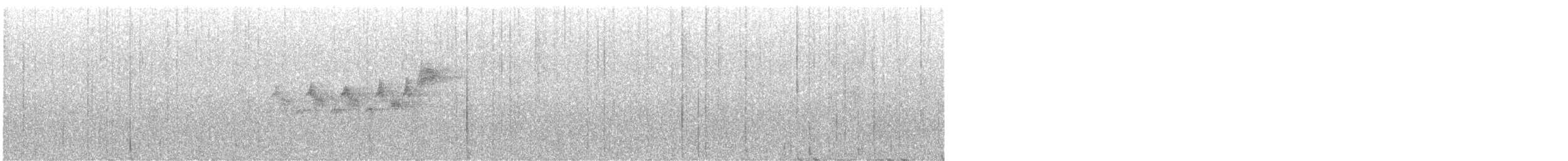 Black-throated Gray Warbler - ML620246565