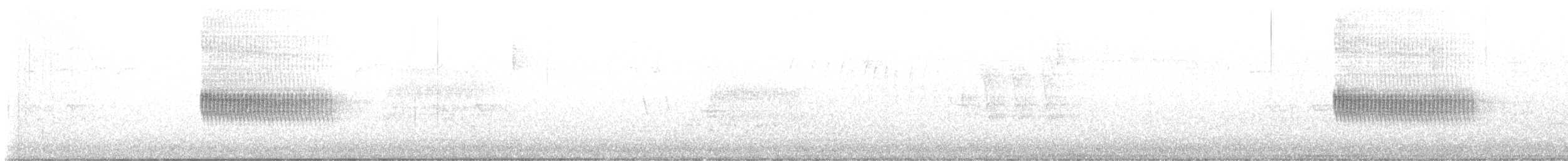 Тауї плямистий - ML620246911