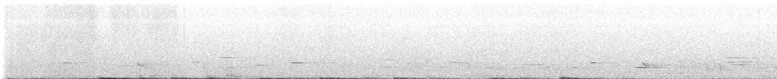 Méliphage carillonneur - ML620247610