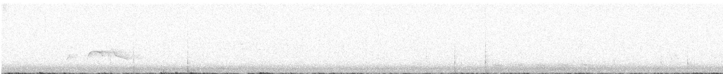 hvitbrynsvartspett - ML620248234