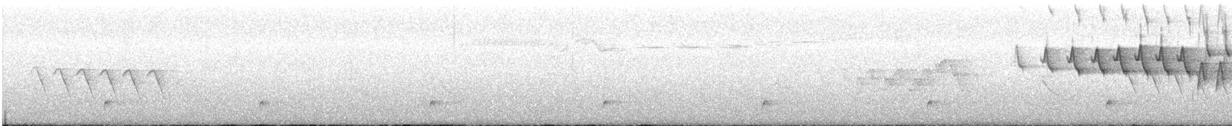 Дрізд-короткодзьоб Cвенсона - ML620249232