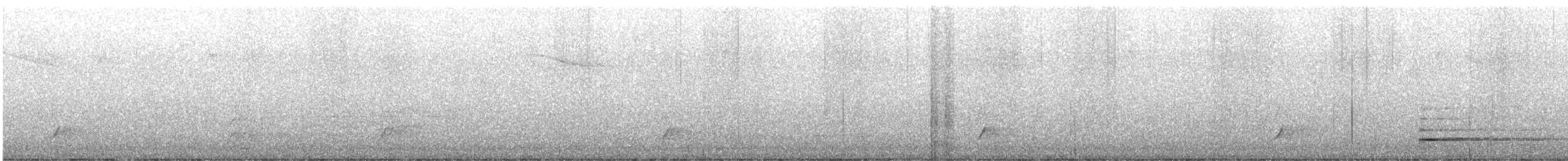 Дрізд-короткодзьоб Cвенсона - ML620250598