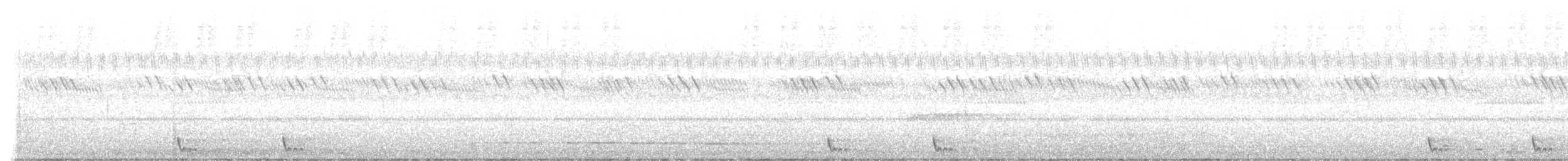 Large-tailed Nightjar - ML620252408