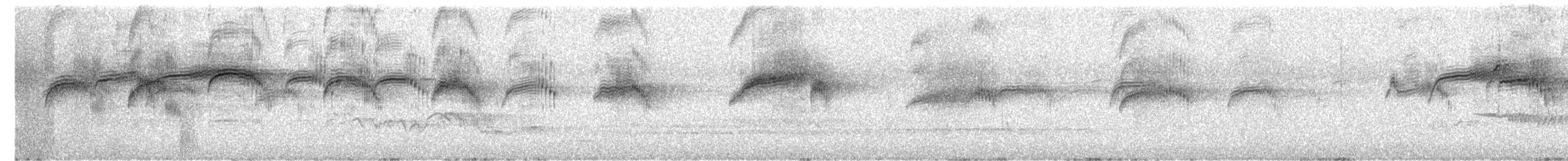 Common Swift - ML620255283