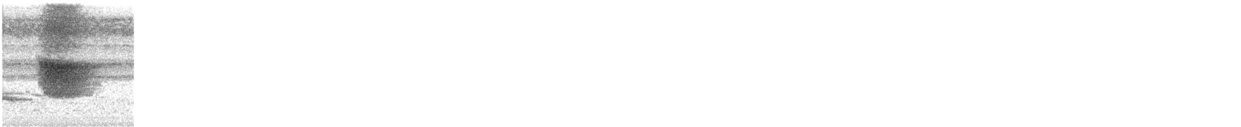 白斑紫嘯鶇 - ML620255691