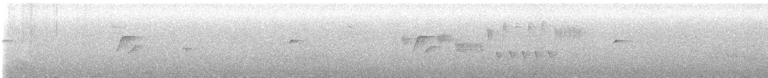 Batı Amerika Sinekkapanı (occidentalis/hellmayri) - ML620257632