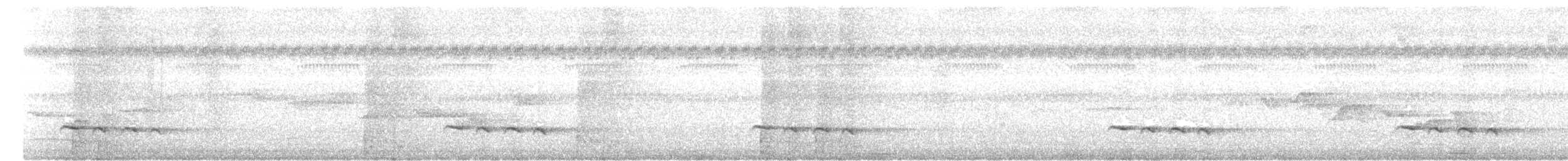 Banded Bay Cuckoo - ML620257688