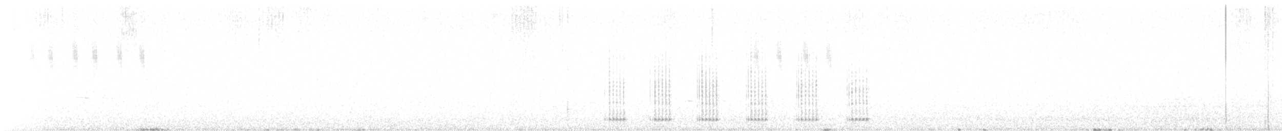 עורב שחור - ML620257740