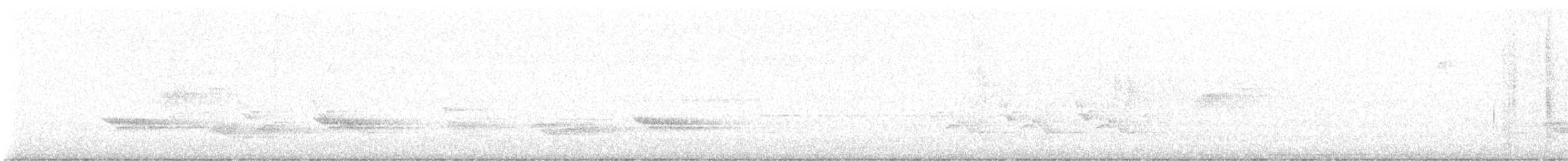 Поплітник каролінський - ML620258969