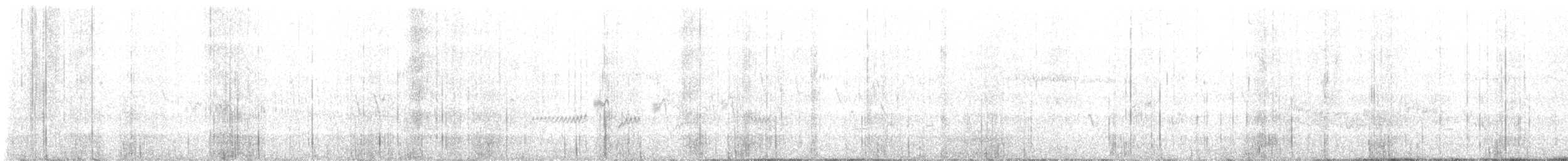 Broad-tailed Hummingbird - ML620259020